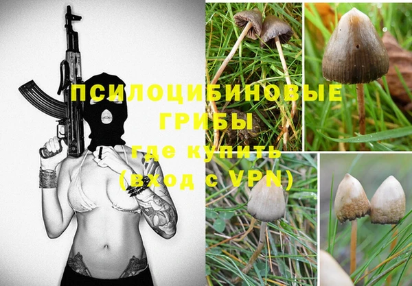 твердый Абинск