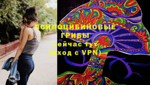 твердый Абинск